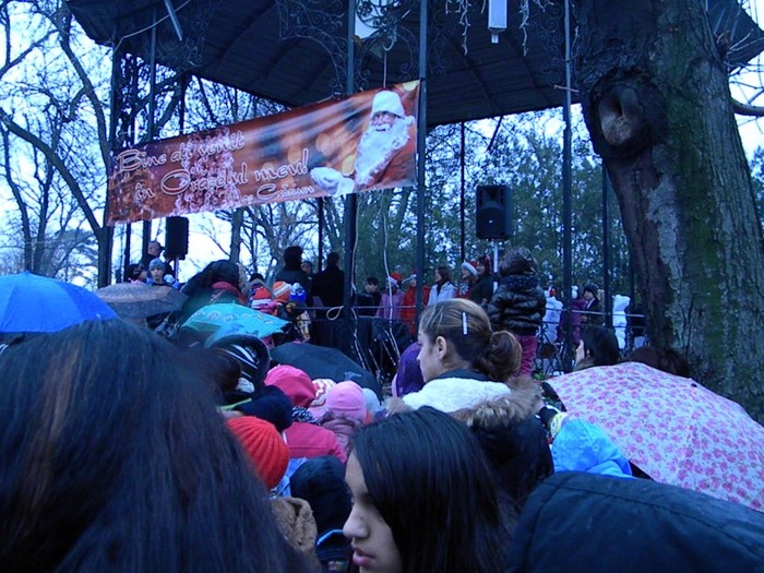 DSCN8003