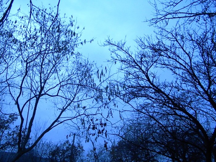 DSCN8051