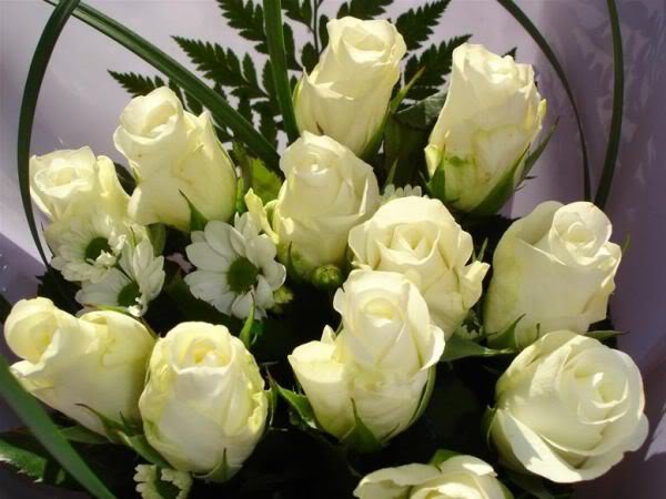 285677_228152763891279_100000896726043_678822_1556508_n - poze flori