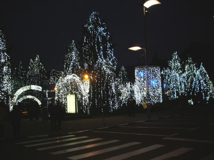 CRACIUN  2011 016 - CRAIOVA-CRACIUN 2011