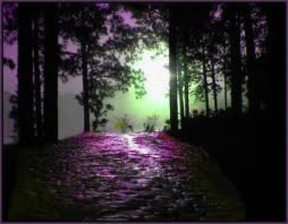 227117_170259726365958_100001457967651_444365_7109190_n