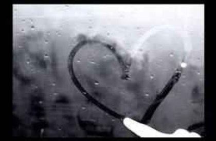 264210_184423078282956_100001457967651_542991_2453108_n[1] - poze  sweet