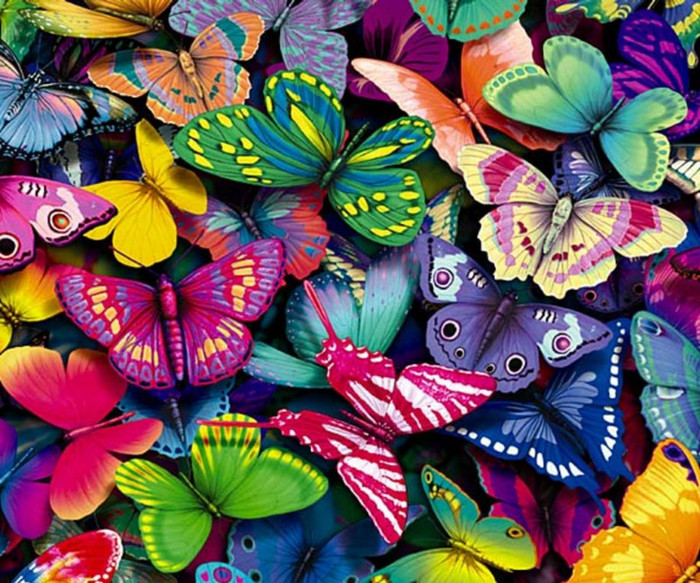 375905_143959112373130_100002771270226_133320_781372054_n - poze  sweet