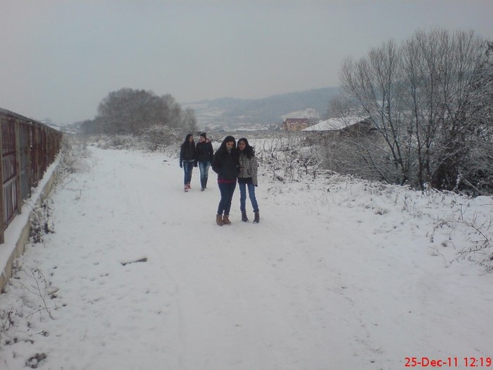DSC03380 - 24 12 2011