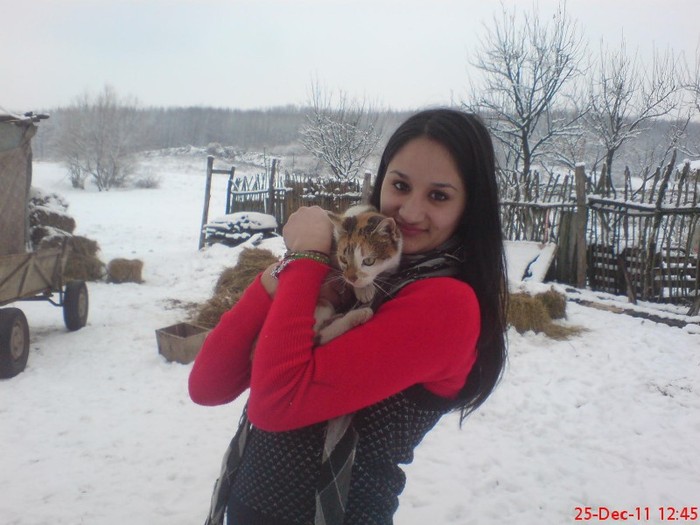 DSC03401 - 24 12 2011