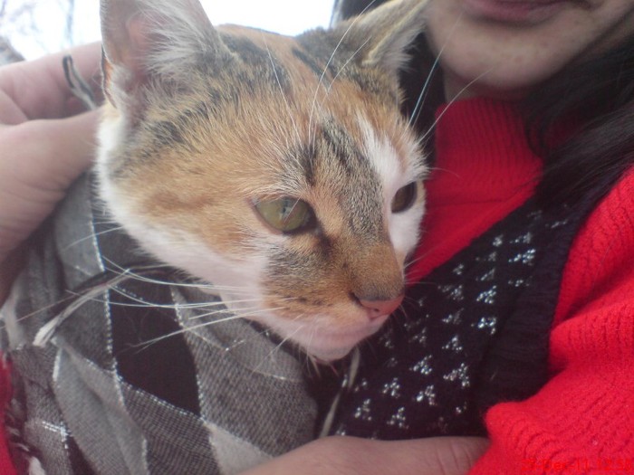 DSC03410 - 24 12 2011