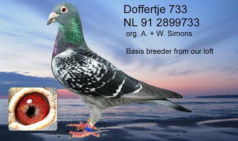 nl9733hintergrundklein
