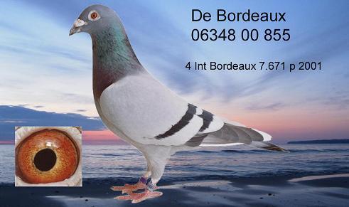 855hintergrundklein