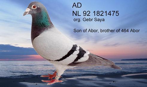 nl1475hintergrund