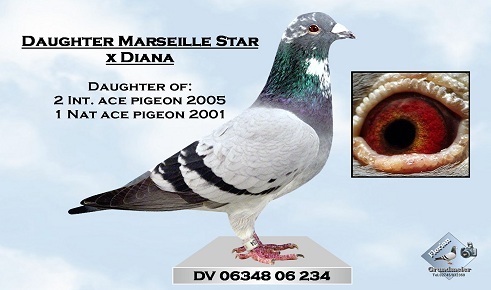 0634806234_kleinweb