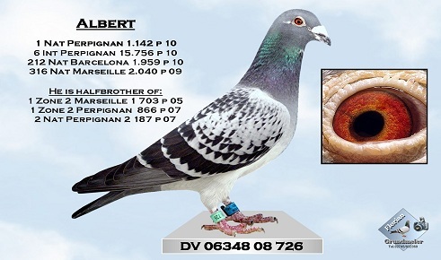 0634808726_blaukleinweb