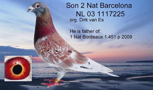 nl7225hintergrundklein