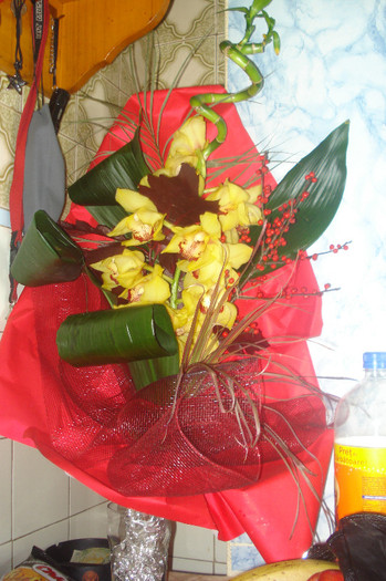 DIN PARTEA PRIETENULUI EI