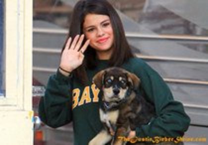 55944075_PDYGXIB2 - Selena si catelul ei