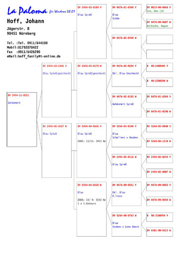 loc 1 semifinala Gyor columbodrom a saguna - Pedigree