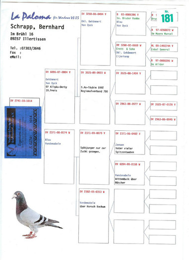 003 (Copy) - Pedigree