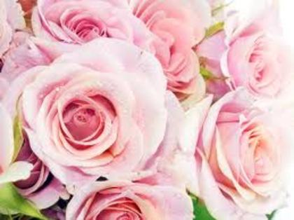 images (48)
