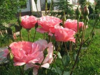 images (55)