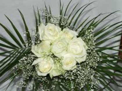 images (59)