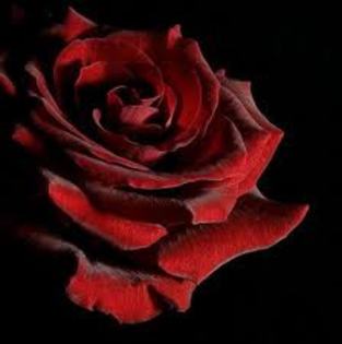 images (63)