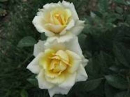 images (74)