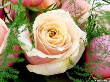 images (80)