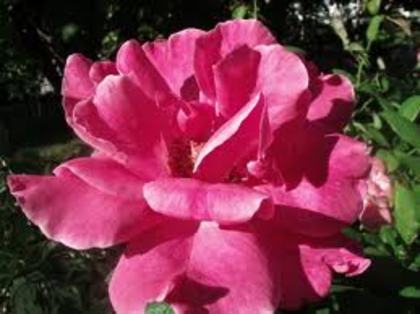 images (84)