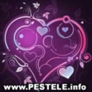 images (13) - Poze Roz