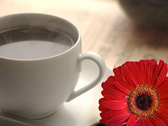 383202_270327629672228_182978295073829_745514_40667651_n - o ceasca de cafea