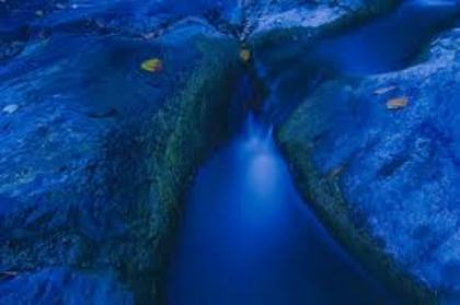 images (41)