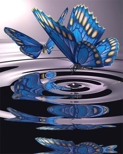 fluturi-albastri - Fluturele simbolul celor ce indraznesc sa viseze