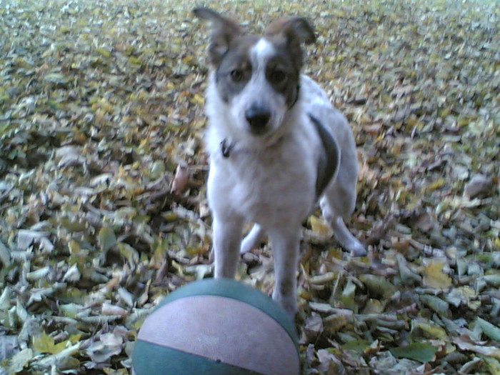 05112011(005) - LADY SI PRIETENII