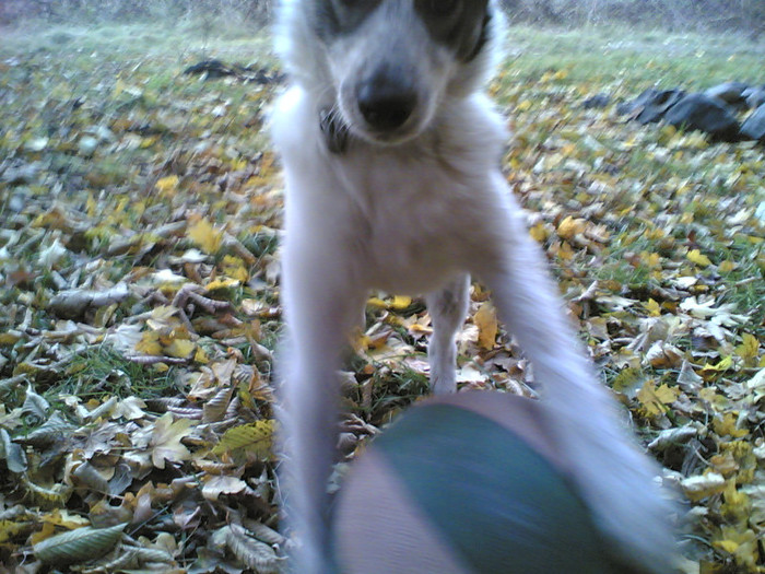 05112011(007) - LADY SI PRIETENII