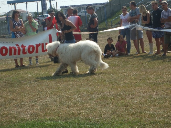 DSCF8683 - Filipesti de Padure Etapa I 2011