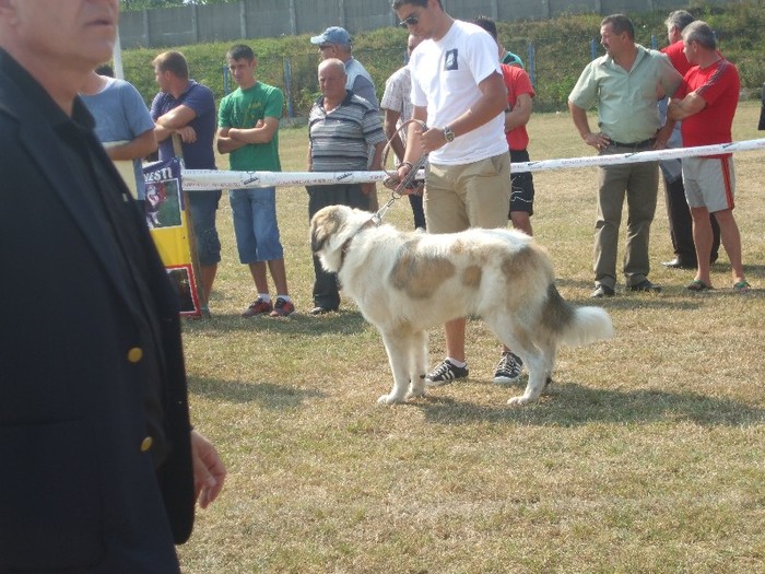 DSCF8643 - Filipesti de Padure Etapa I 2011