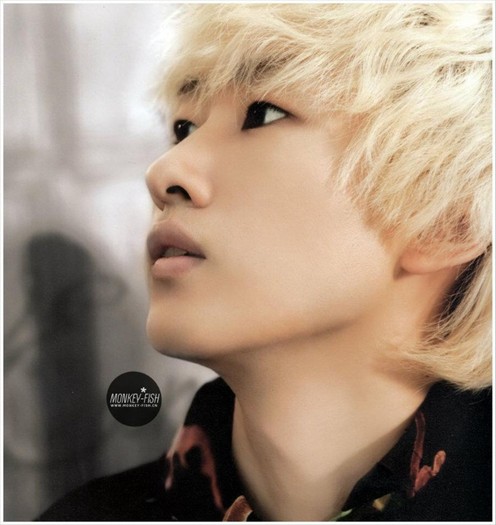 -Eunhyuk-Donghae-2012-Wall-Calendar-super-junior-27731385-960-1016