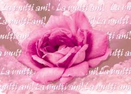 images (12) - trandafirii roz 2