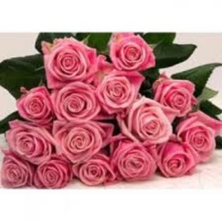 images (15) - trandafirii roz 2