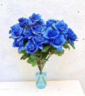 images (15) - trandafiri albastri 5