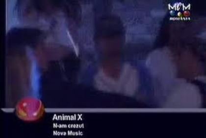 Animal X - Animal X