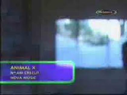 Animal X - Animal X