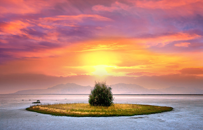 Peisaje-Cecil-Whitt01 - pooze