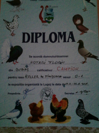 IMG517 - Cupe si Diplome