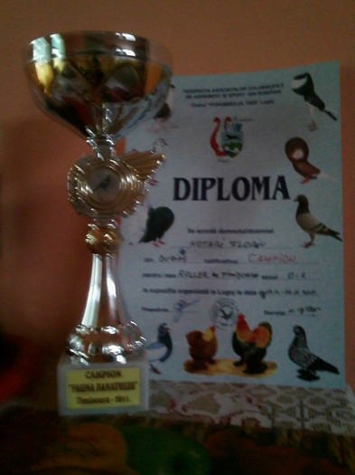 IMG518 - Cupe si Diplome