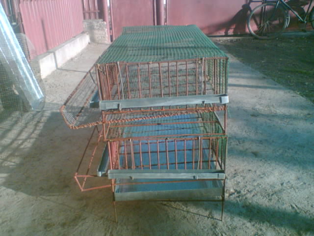 017 custi finalizate