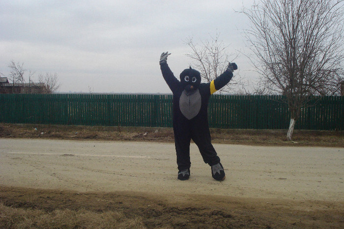 SA MA INTIND,CA AM AMORTIT