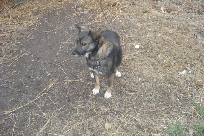 NU TE CRED:)))))))))