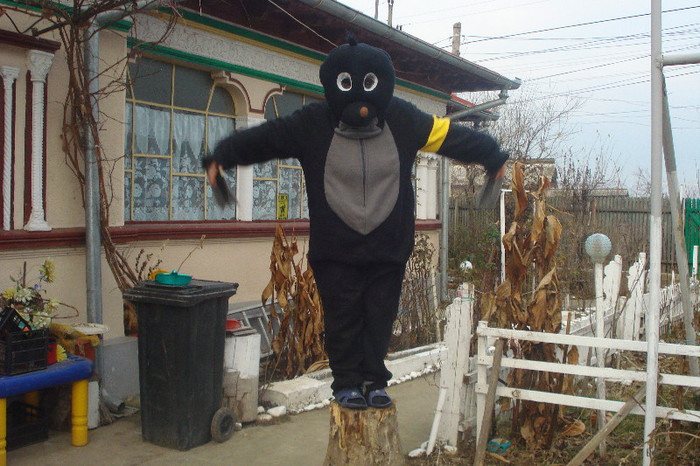 SA INCERC FARA MATURA...