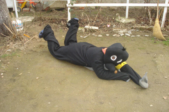 N-A MERS NICI ACUM:)))