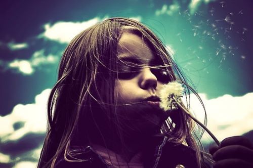 ; Visele mele nu se vor spulbera ca puful de papadie, pentru ca eu cred in ele si in ce mi-e scris mie
